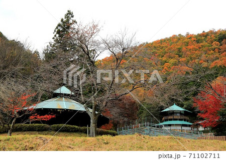 紅葉の谷汲山華厳寺・197(岐阜県揖斐郡揖斐川町谷汲) 紅葉の谷汲山華厳寺・197(岐阜県揖斐郡揖斐川町谷汲) 71102711