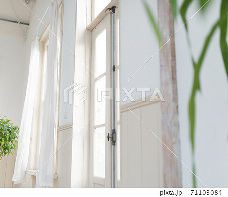 Image photo 71103084