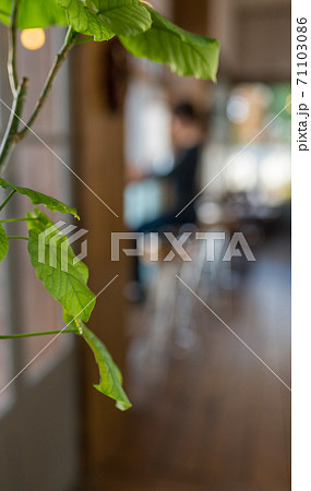 Image photo 71103086
