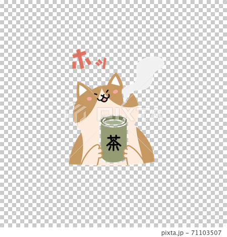 お茶を飲んでほっとする猫 71103507