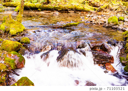 秋の上高地を流れる梓川の支流 71103521