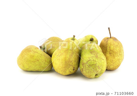 洋梨 洋梨 71103660