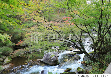 《山梨県》昇仙峡 紅葉の訪れ 《山梨県》昇仙峡 紅葉の訪れ 71104157