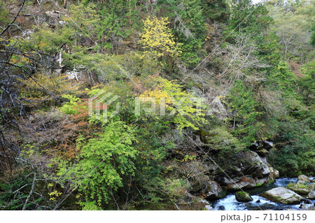 《山梨県》昇仙峡 紅葉 《山梨県》昇仙峡 紅葉 71104159