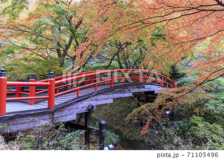 伊香保温泉 河鹿橋 紅葉の写真素材