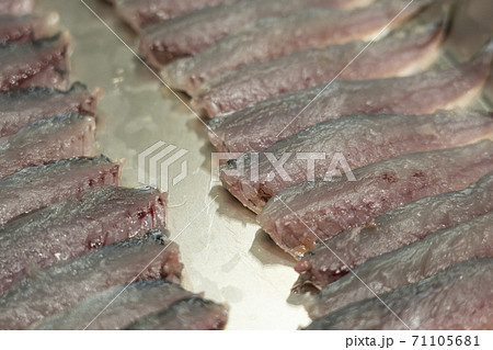 綺麗に並んだ豆鯵の3枚おろし 綺麗に並んだ豆鯵の3枚おろし 71105681