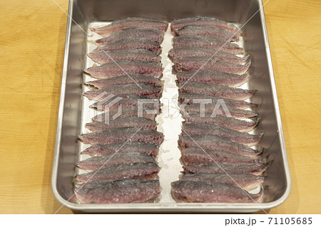 綺麗に並んだ豆鯵の3枚おろし 綺麗に並んだ豆鯵の3枚おろし 71105685