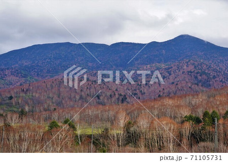 志賀高原プリンスホテルからの岩菅山 志賀高原プリンスホテルからの岩菅山 71105731