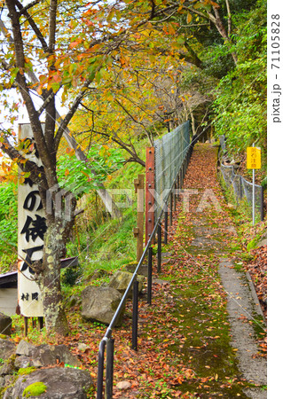 味取の俵石【山陰海岸ジオパーク】 71105828