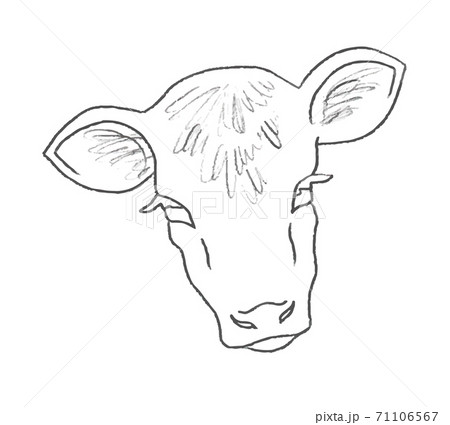Hand-drawn simple vector drawing in black outline. Side view of a  full-length cow, grazing in a meadow, grass and flowers. For prints,  labels, dairy products. Farm animal, ranch. 11959277 Vector Art at