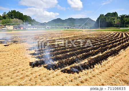稲藁焼き 田焼き 秋の田園風景 日本の秋風景 熊本県北部 稲藁焼き 田焼き 秋の田園風景 日本の秋風景 熊本県北部 71106635