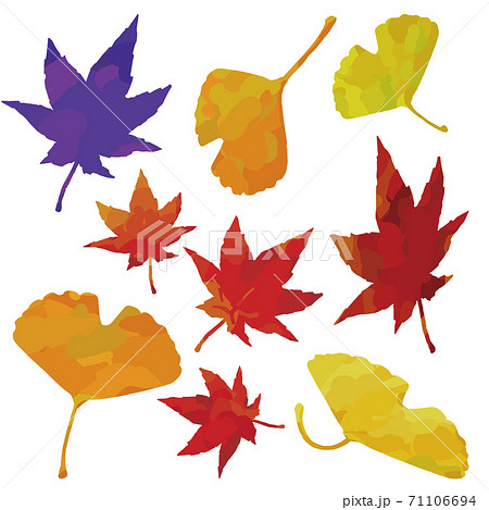 秋 カラフルなもみじとイチョウのイラストのイラスト素材