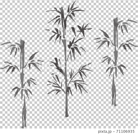 年賀　お正月　竹　墨絵　水墨画　水彩　イラスト素材 71106935