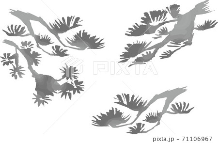 年賀 お正月 松 墨絵 水墨画 水彩 イラスト素材のイラスト素材