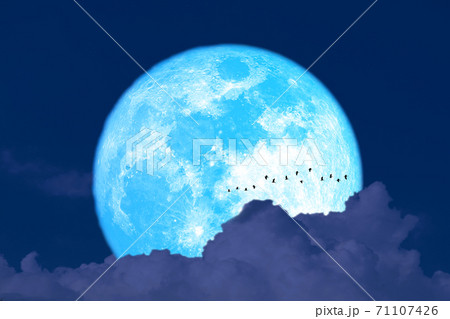 Super harvest blue moon and silhouette birds flying and dark cloud on night sky 71107426
