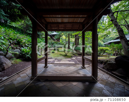 秋の日本庭園の風景 旧古河庭園 10月の写真素材