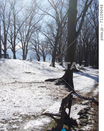 雪景色 公園 雪景色 公園 71109048