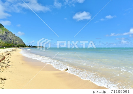 ハワイの休日 71109091