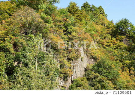 山の麓の黄葉　福島県只見町 71109601