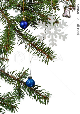 Branches of natural fir tree with Christmas toys and ornament. 71109685