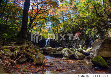 秋の紅葉シーズンのマゼノミステリーロード風景 71110993