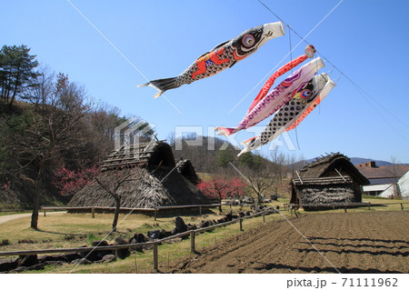長野県千曲市屋代の科野の里歴史公園 長野県千曲市屋代の科野の里歴史公園 71111962