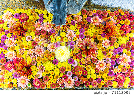 鮮やかな花手水(菊手水) 福島県二本松市 鮮やかな花手水(菊手水) 福島県二本松市 71112005