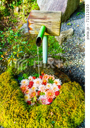 鮮やかな花手水（菊手水）　福島県二本松市 71112030