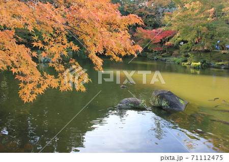 紅葉池と水鳥のつがい　☆+Autumnleaves＆waterfowl+☆　2 2,,,, 71112475