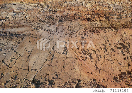 掘削で露出した赤土の地肌 掘削で露出した赤土の地肌 71113192