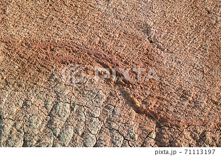 掘削で露出した赤土と青っぽい地肌 71113197