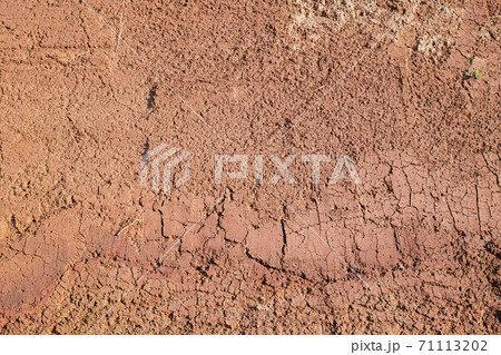 掘削で露出した赤土の地肌 掘削で露出した赤土の地肌 71113202