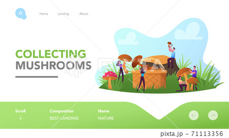 Mushroomers Walk in Forest, Activity, Hobby Landing Page Template. Happy Tiny Characters Spend Time Outdoors in Autumn 71113356