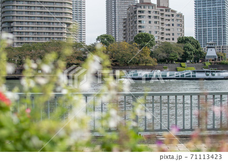 隅田川テラスから見た水上バスのある風景 隅田川テラスから見た水上バスのある風景 71113423
