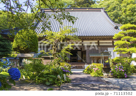 【山梨県】アジサイの咲く初夏の海岸寺　守屋貞治の百体観音と本堂 71113502