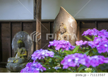 【山梨県】初夏の海岸寺 守屋貞治の百体観音とアジサイの花 【山梨県】初夏の海岸寺 守屋貞治の百体観音とアジサイの花 71113507