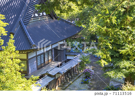 【山梨県】初夏の海岸寺 守屋貞治の百体観音とアジサイの花 【山梨県】初夏の海岸寺 守屋貞治の百体観音とアジサイの花 71113516
