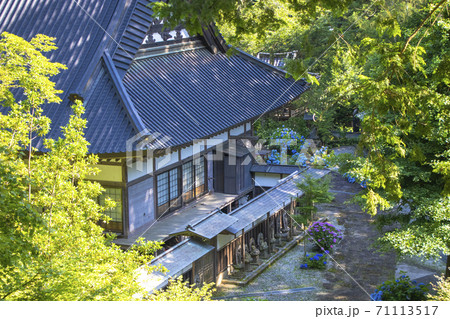 【山梨県】初夏の海岸寺　守屋貞治の百体観音とアジサイの花 71113517