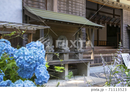 【山梨県】初夏の海岸寺本堂　守屋貞治の百体観音とアジサイの花 71113523