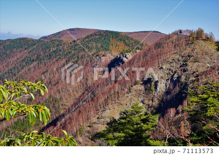 東仙波からの和名倉山 東仙波からの和名倉山 71113573