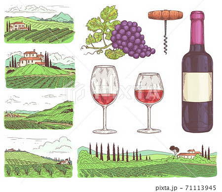 A set of colorful vector illustrations on theme red wine and winemaking. 71113945