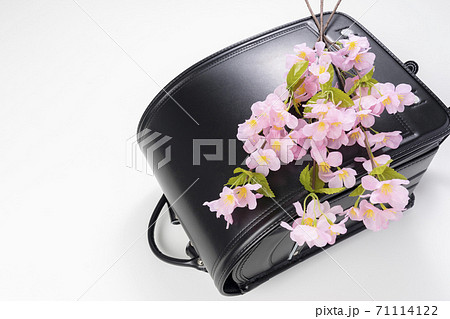 入学式のイメージフォト(黒のランドセルと桜) 入学式のイメージフォト(黒のランドセルと桜) 71114122