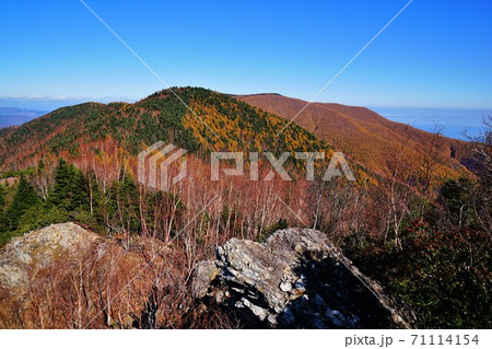 登山道からの紅葉の和名倉山 登山道からの紅葉の和名倉山 71114154