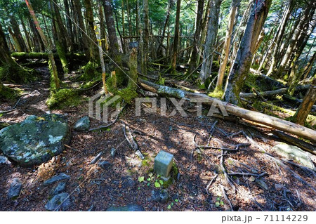 和名倉山頂の三角点 71114229
