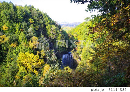 善五郎の滝／長野県松本市安曇鈴蘭 71114385