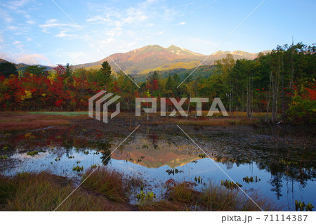 乗鞍高原どじょう池の絶景紅葉 71114387