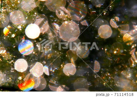 虹アート 71114518