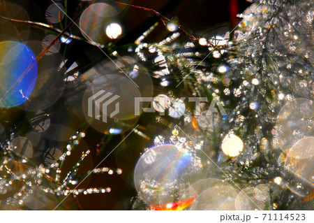 虹アート 71114523