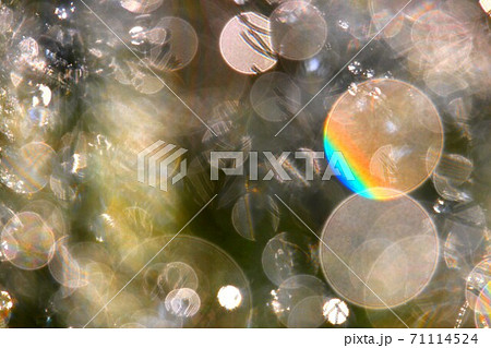 虹アート 71114524