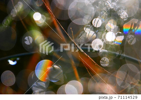 虹アート 71114529